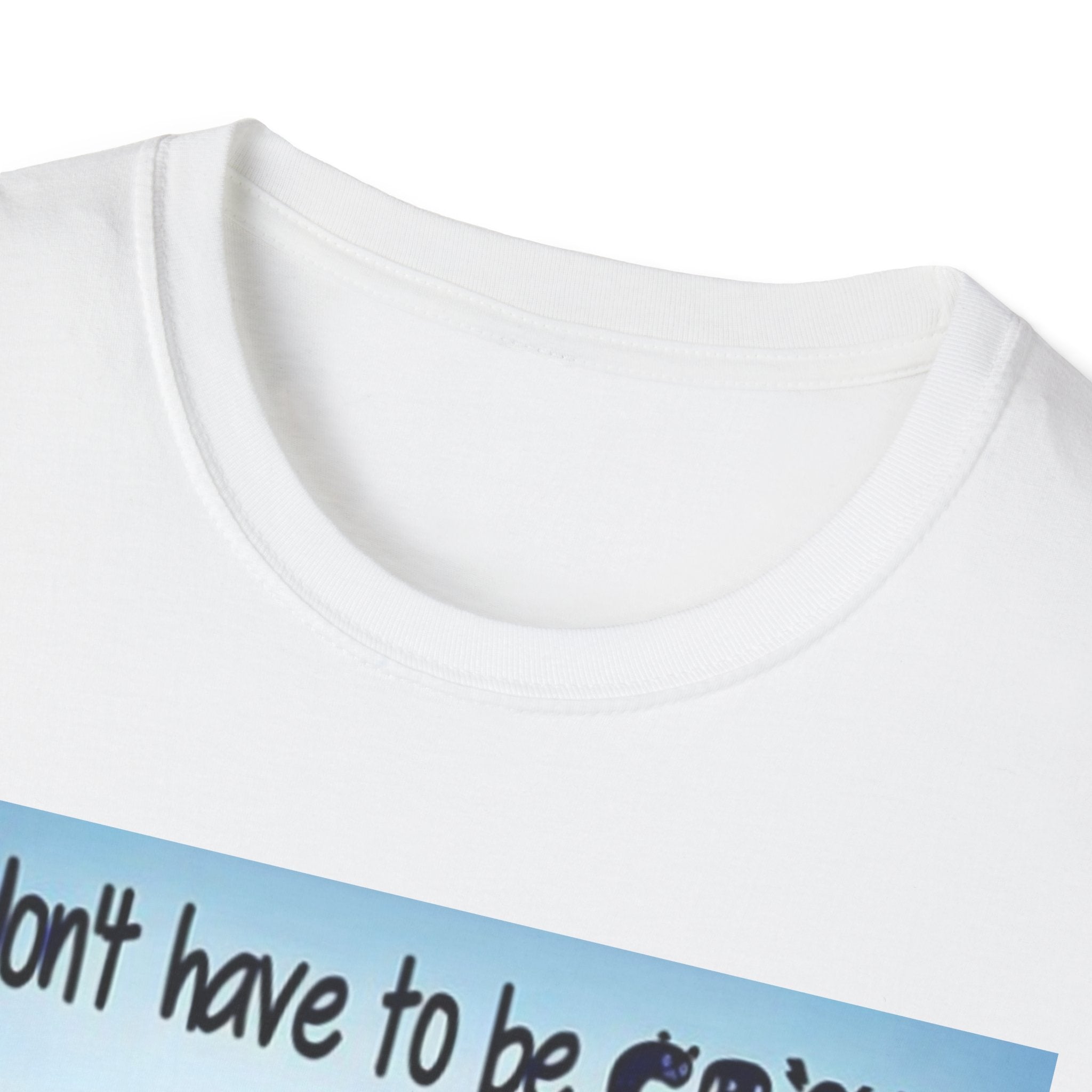 You Don't Have to be CRAZY to be my Friend, I'll Train You! Unisex Softstyle T-Shirt