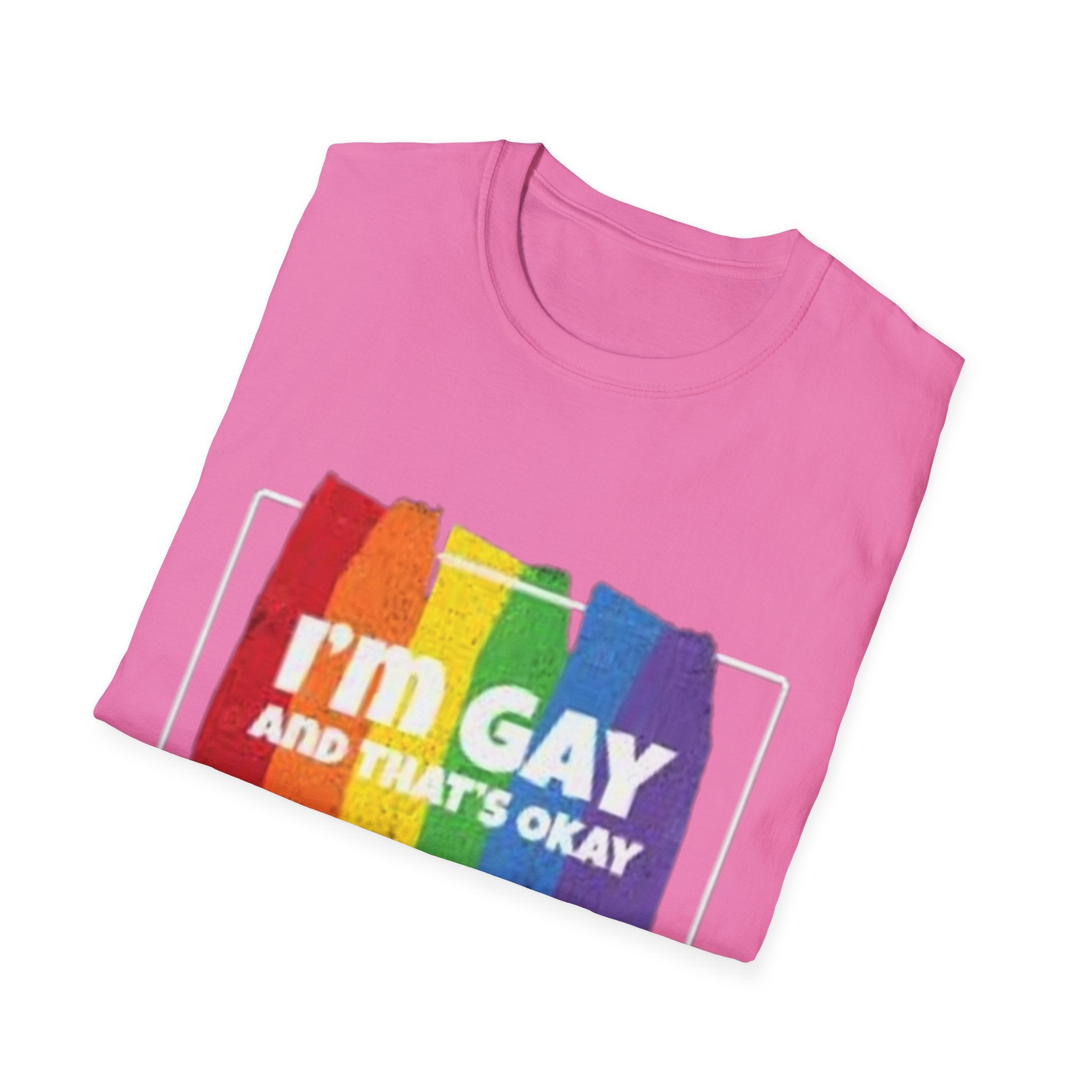 I'm GAY And That's Okay Unisex Softstyle T-Shirt