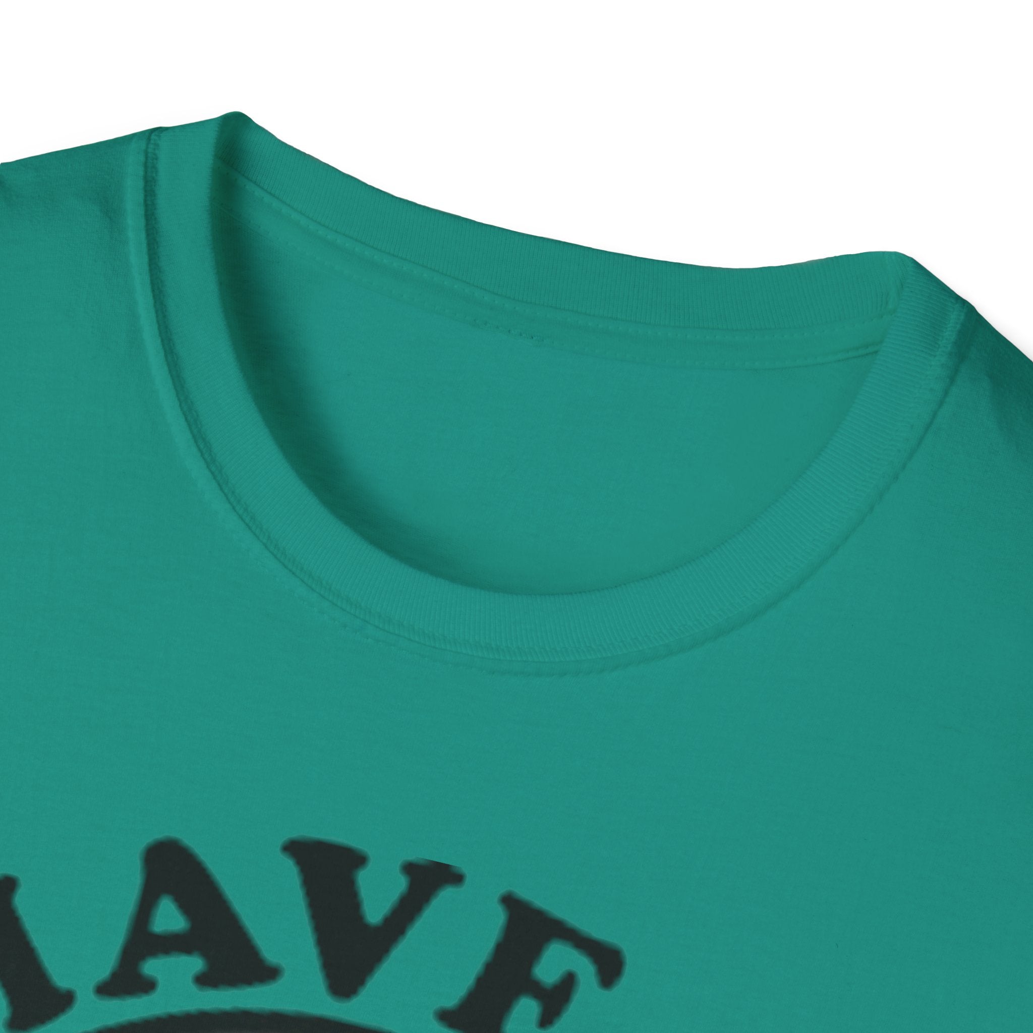 Have A Gay Day Rainbow Smile Unisex Softstyle T-Shirt