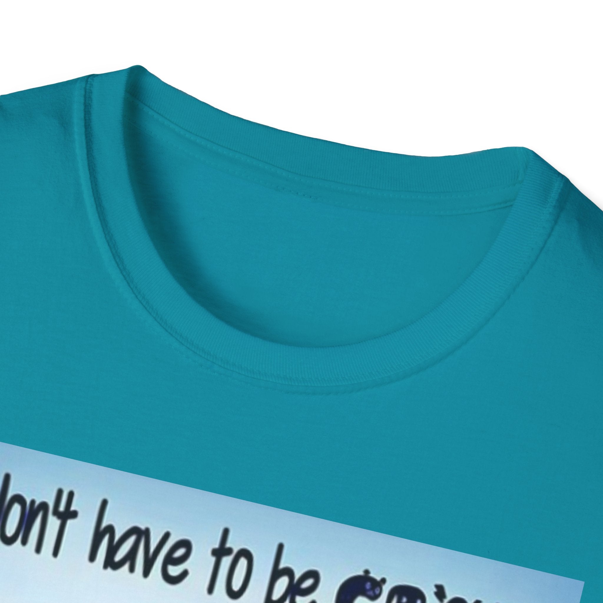 You Don't Have to be CRAZY to be my Friend, I'll Train You! Unisex Softstyle T-Shirt