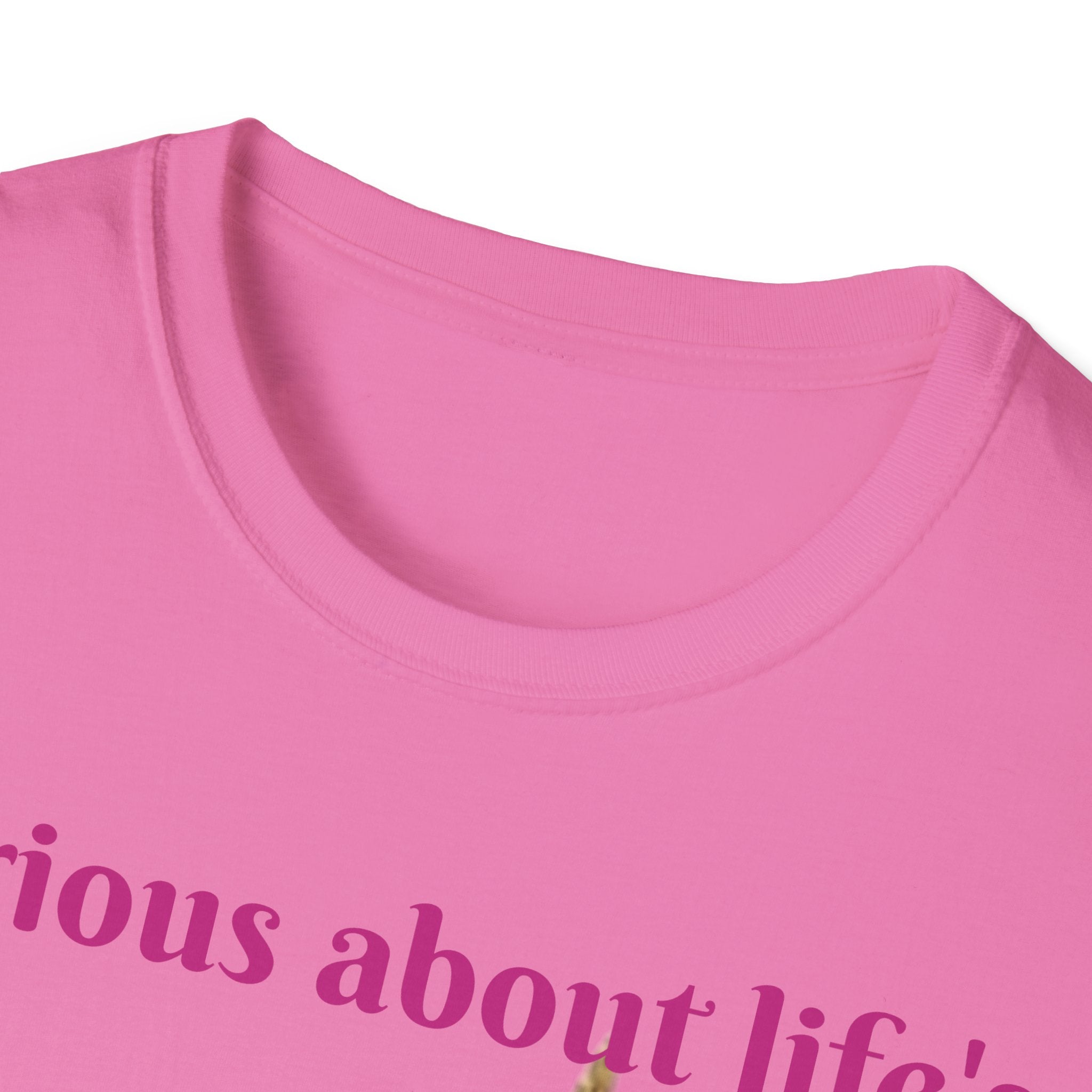 Curious About Life's Magical Mysteries Unicorn Unisex Softstyle T-Shirt