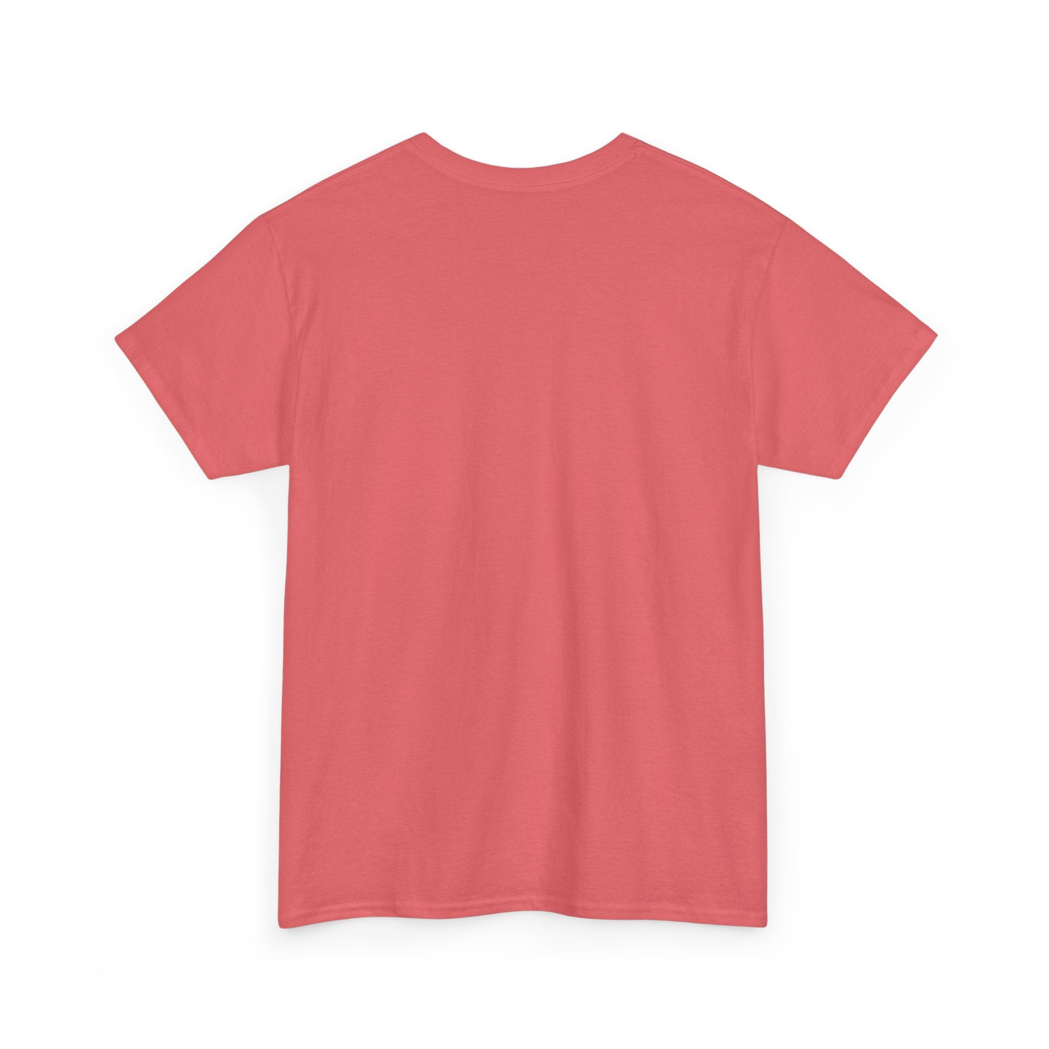 Sunshine & Daydreams Unisex Heavy Cotton T-Shirt