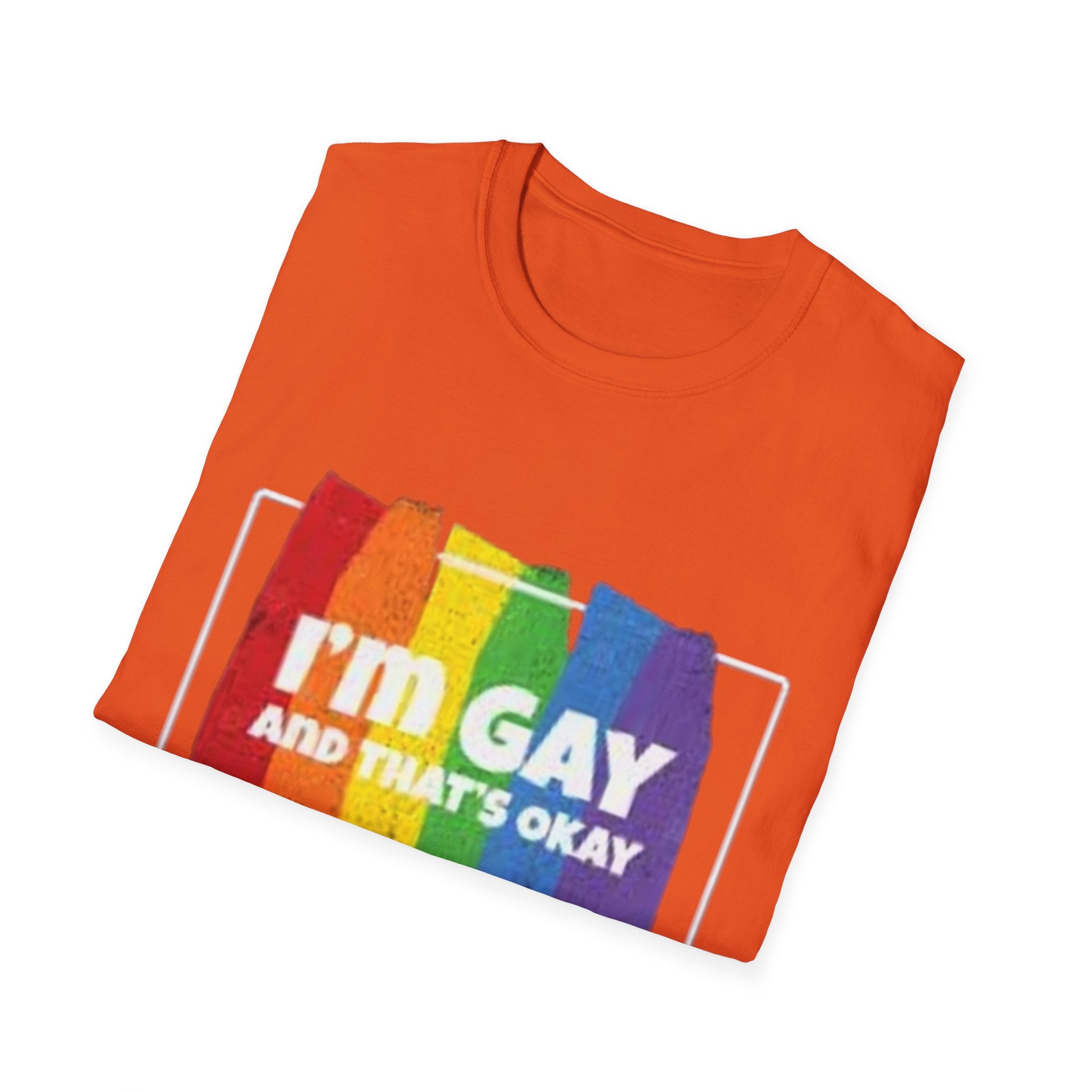I'm GAY And That's Okay Unisex Softstyle T-Shirt