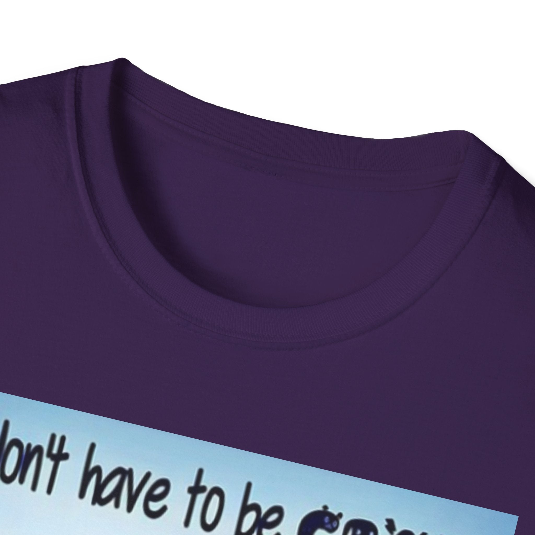 You Don't Have to be CRAZY to be my Friend, I'll Train You! Unisex Softstyle T-Shirt