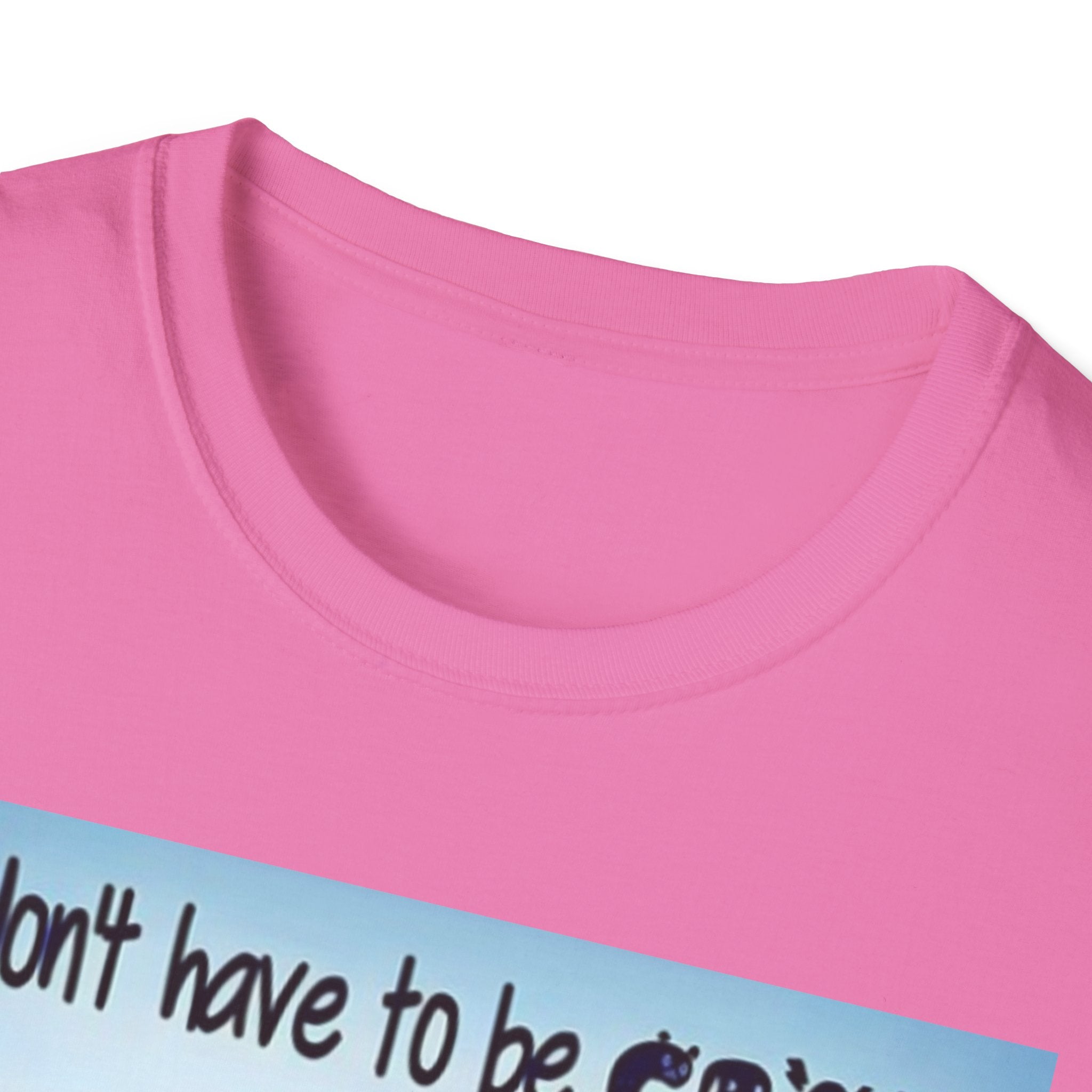 You Don't Have to be CRAZY to be my Friend, I'll Train You! Unisex Softstyle T-Shirt
