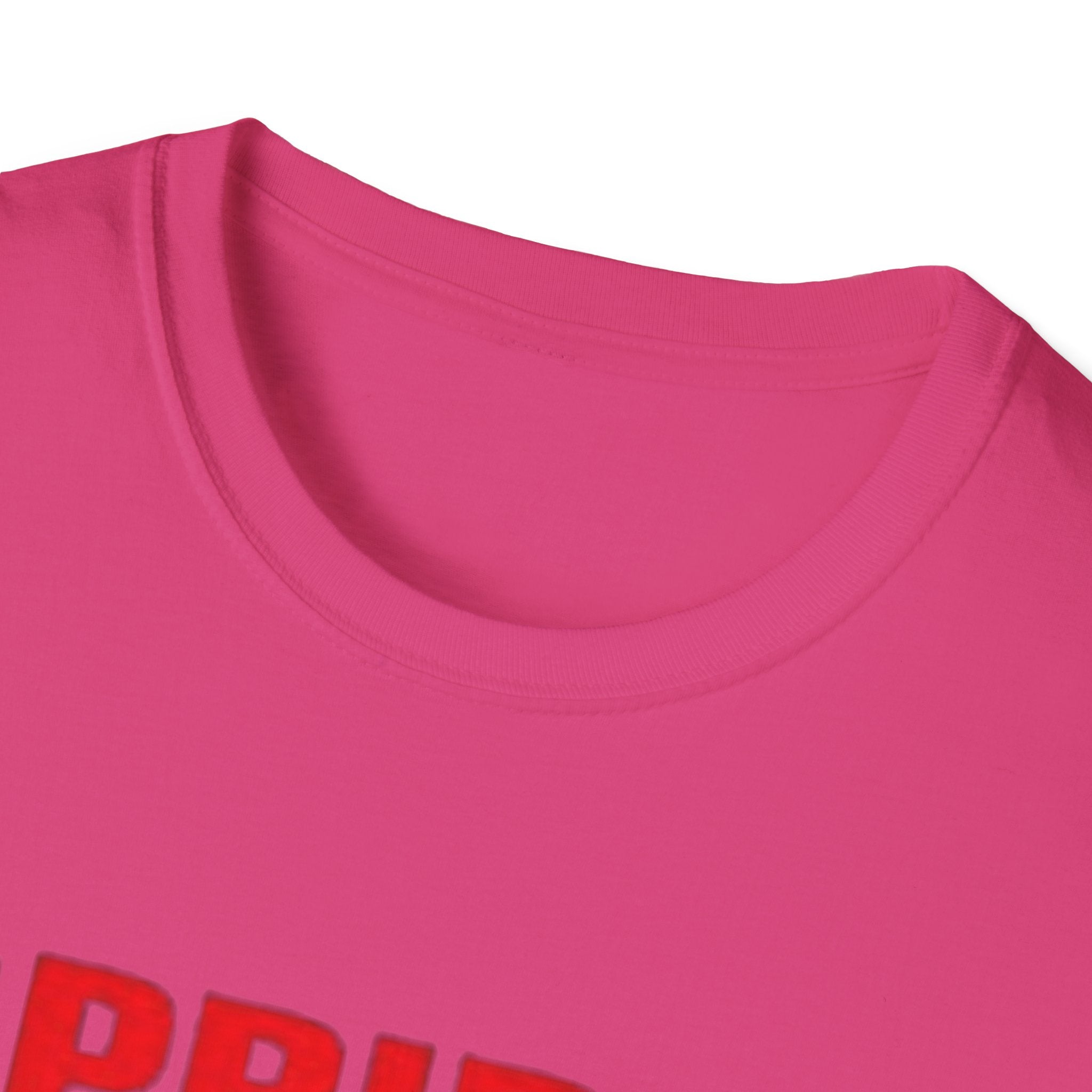 Pride Celebration Unisex Softstyle T-Shirt