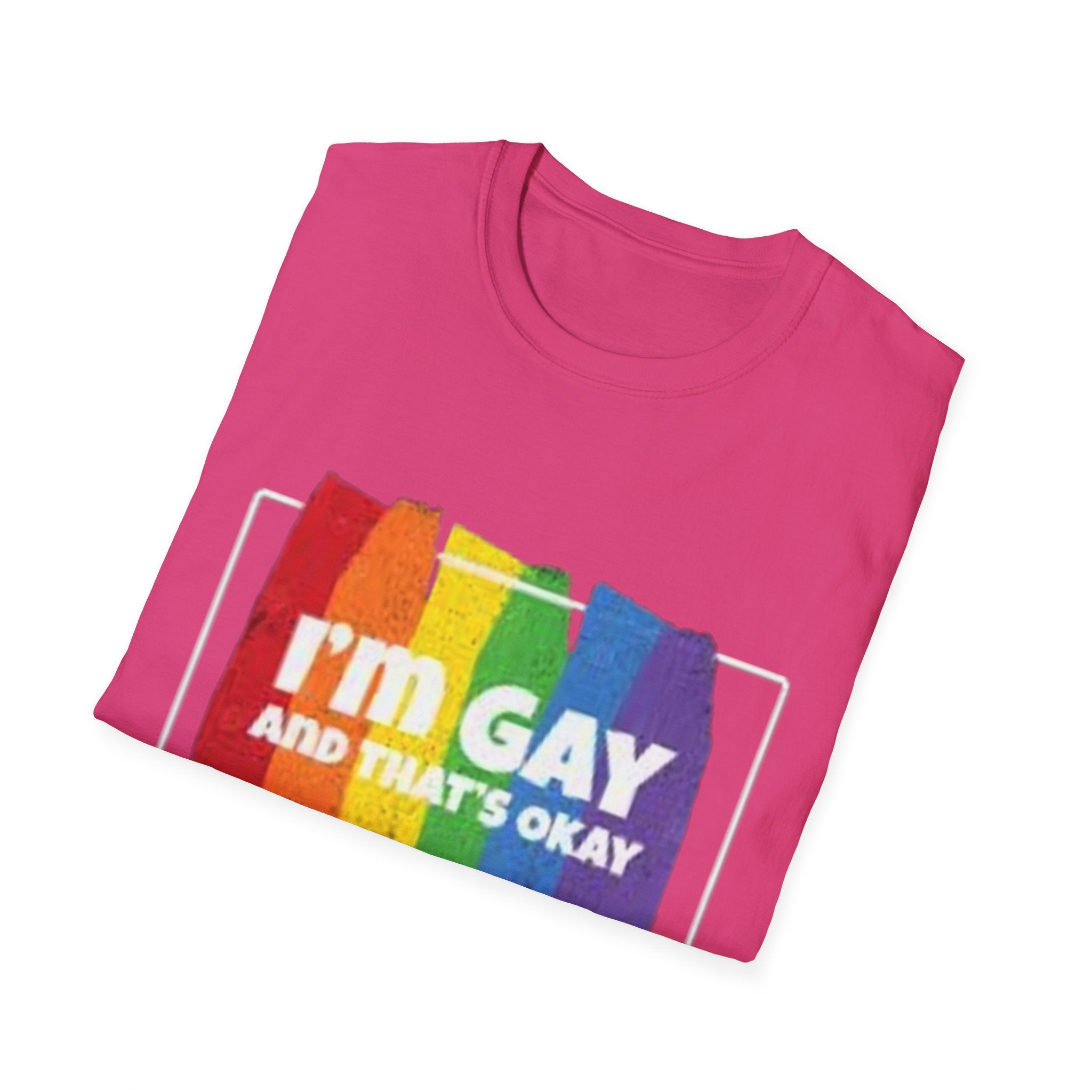 I'm GAY And That's Okay Unisex Softstyle T-Shirt