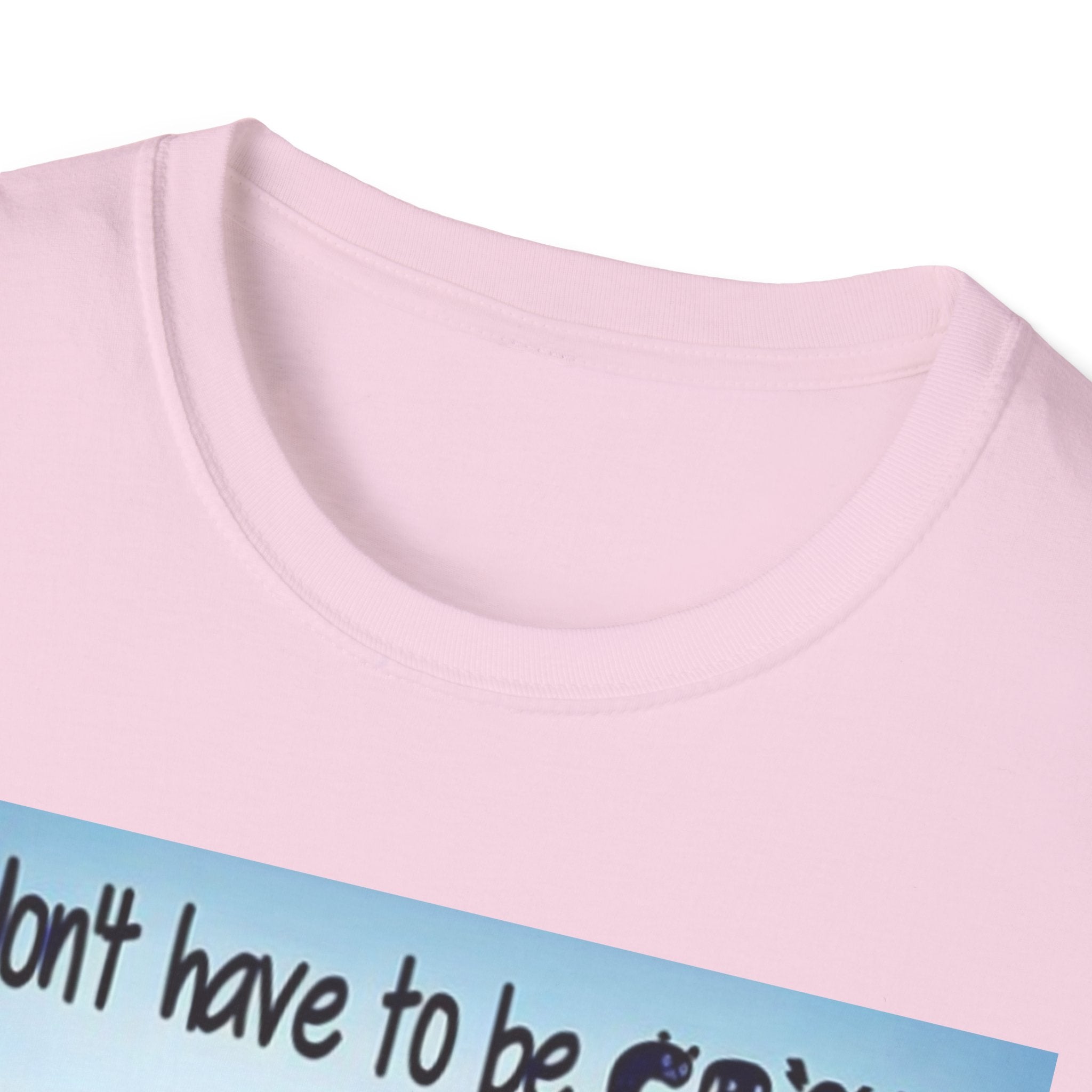 You Don't Have to be CRAZY to be my Friend, I'll Train You! Unisex Softstyle T-Shirt