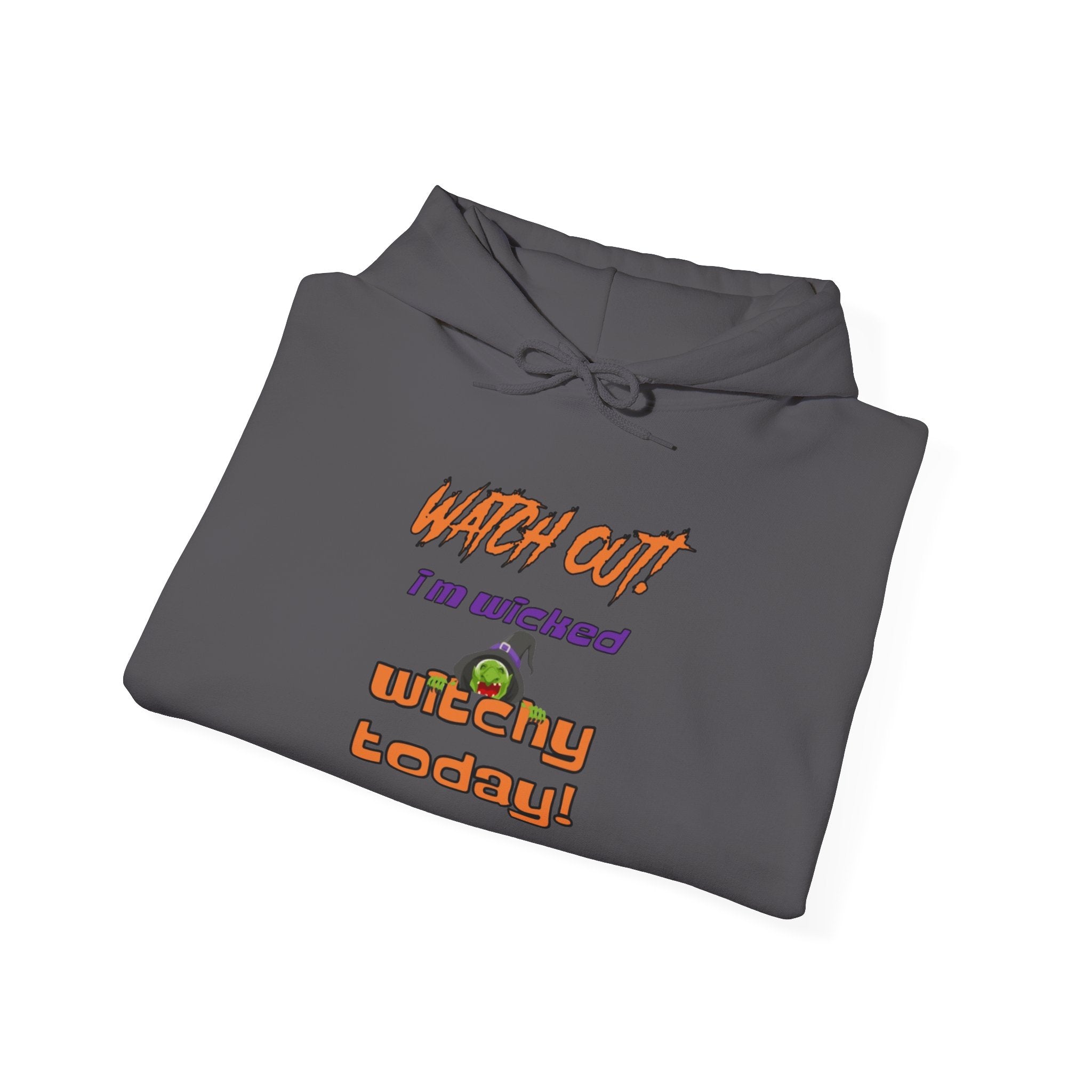 Watch Out I Am Wicked Witchy Today Unisex Heavy Blend Hooded Sweatshirt