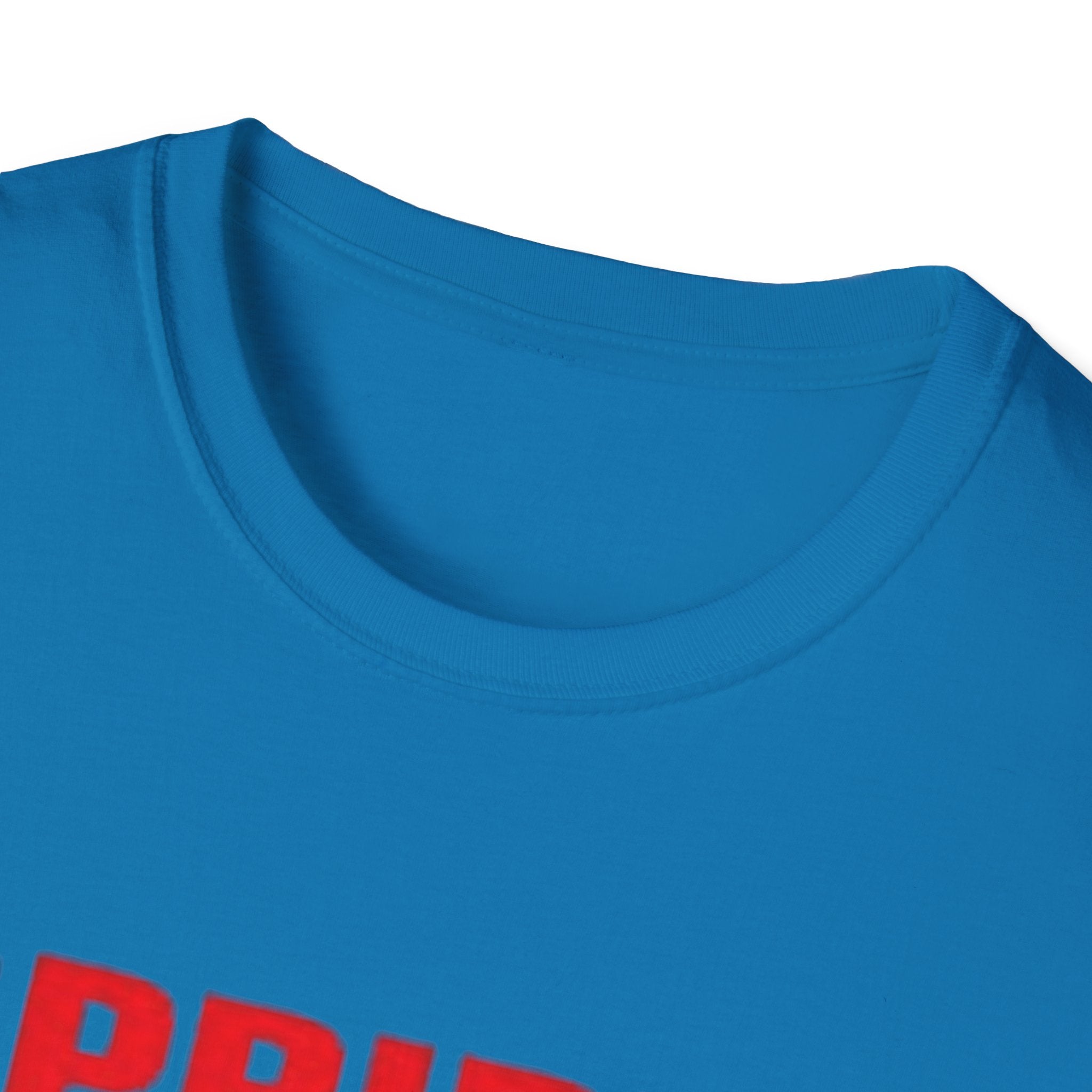 Pride Celebration Unisex Softstyle T-Shirt