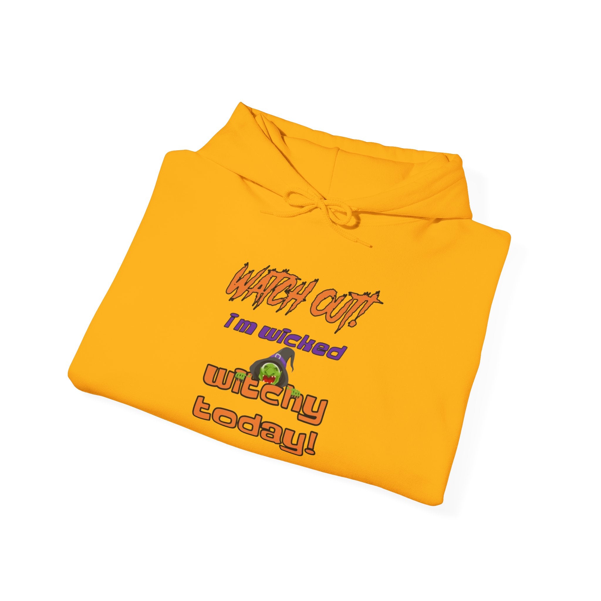 Watch Out I Am Wicked Witchy Today Unisex Heavy Blend Hooded Sweatshirt