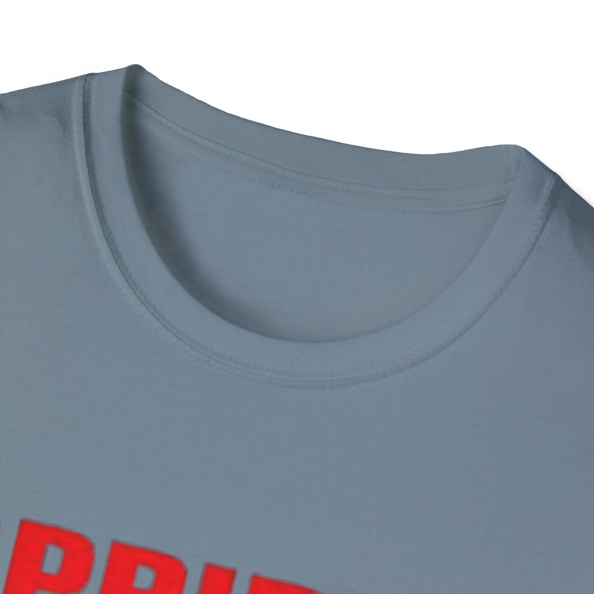 Pride Celebration Unisex Softstyle T-Shirt