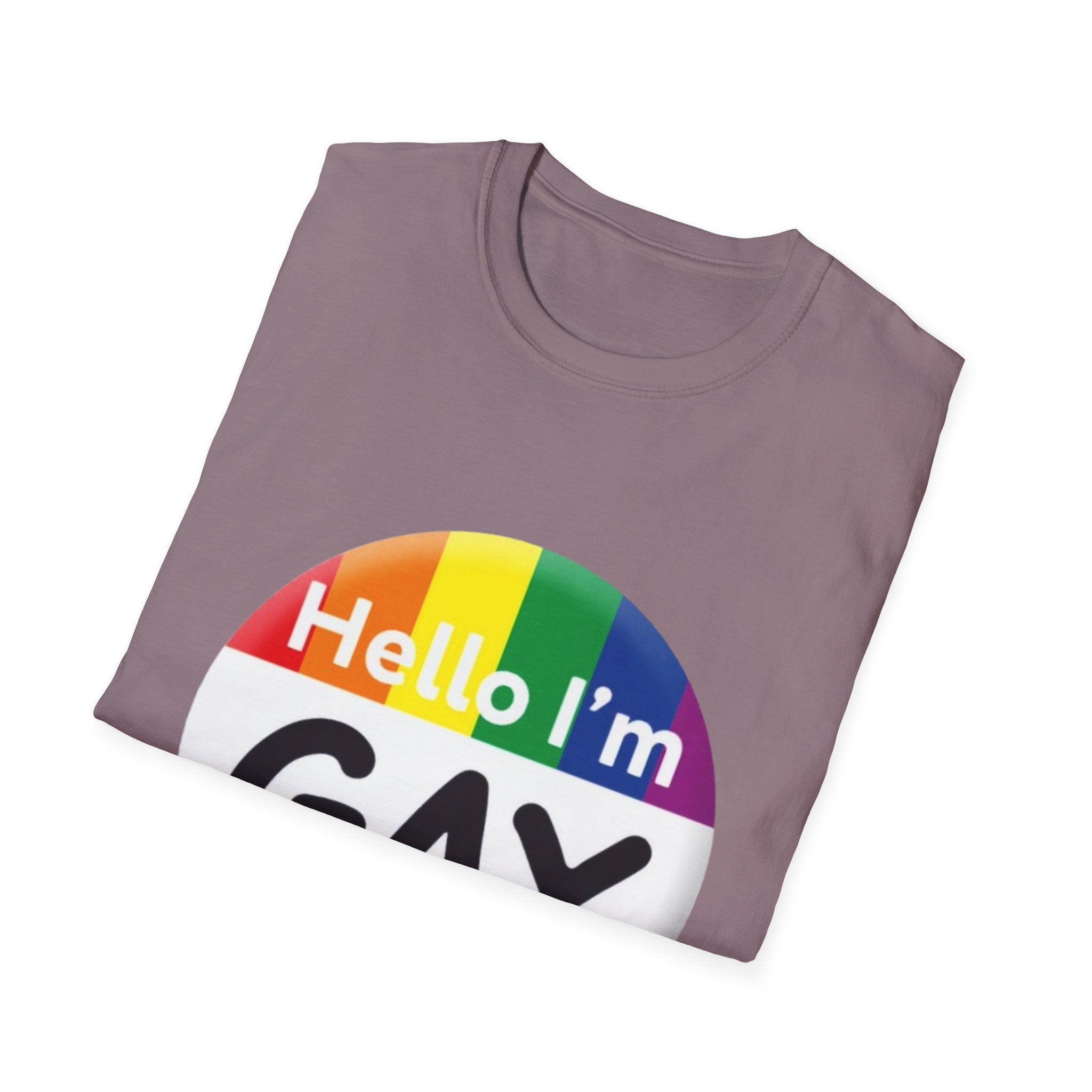 Hello I'm Gay Unisex Softstyle T-Shirt