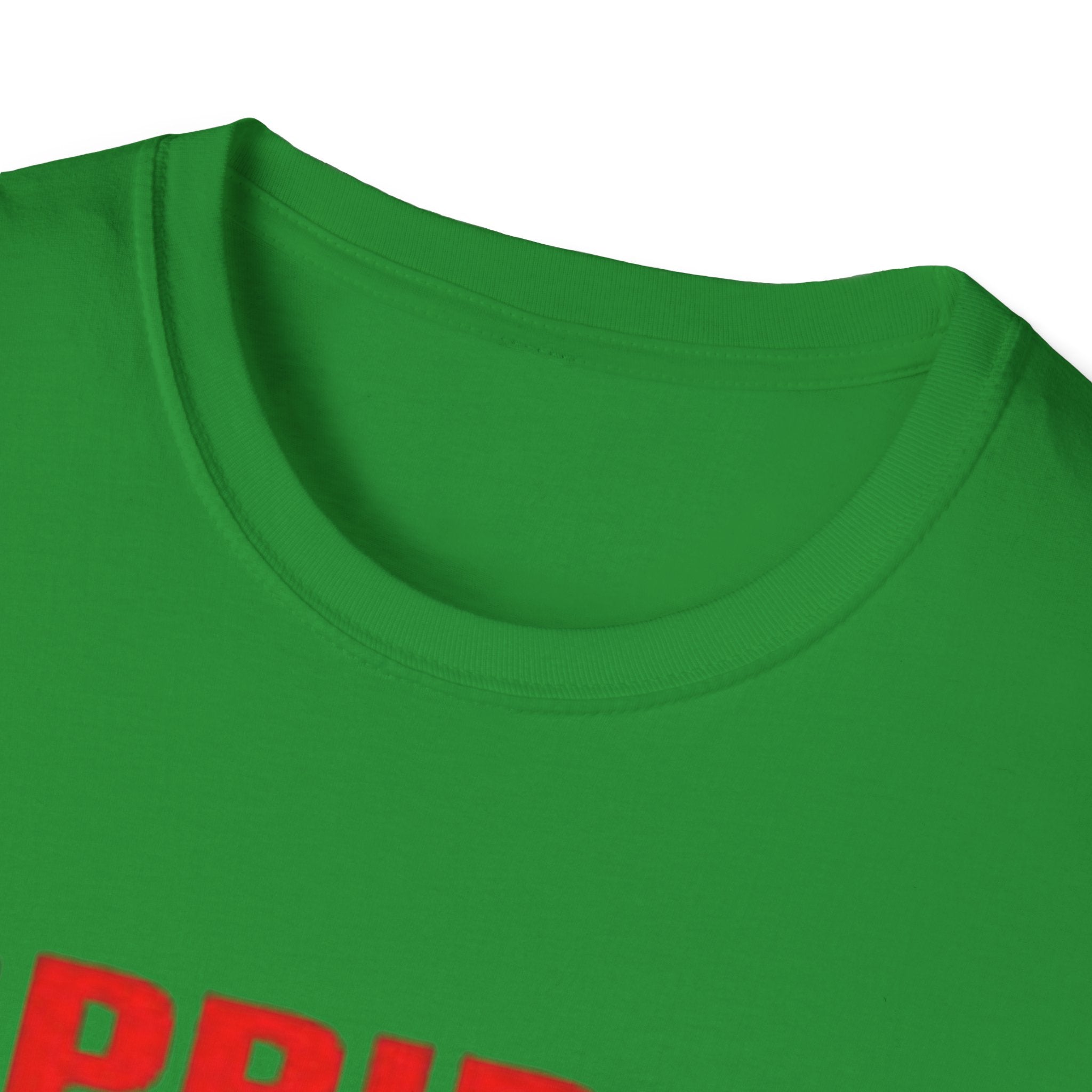 Pride Celebration Unisex Softstyle T-Shirt