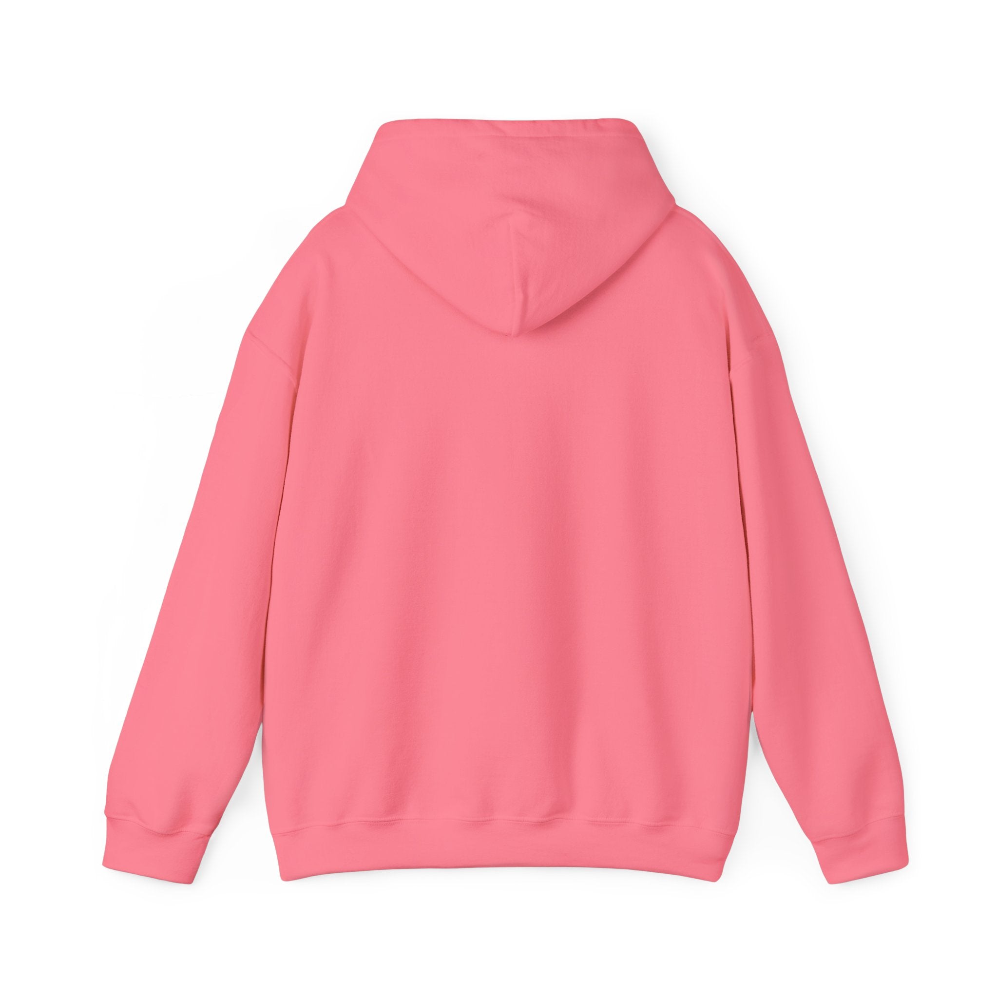 Pride Unisex Heavy Blend Hoodie