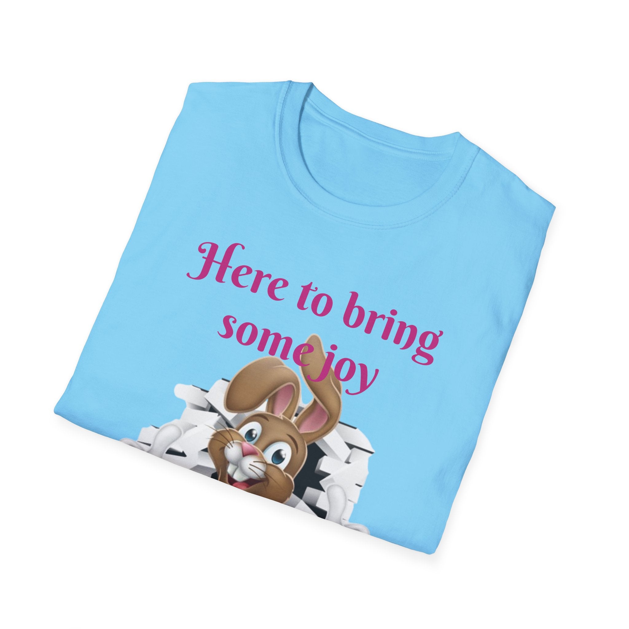 Here To Bring Some Joy Let's Hop Into Adventure Unisex Softstyle T-Shirt