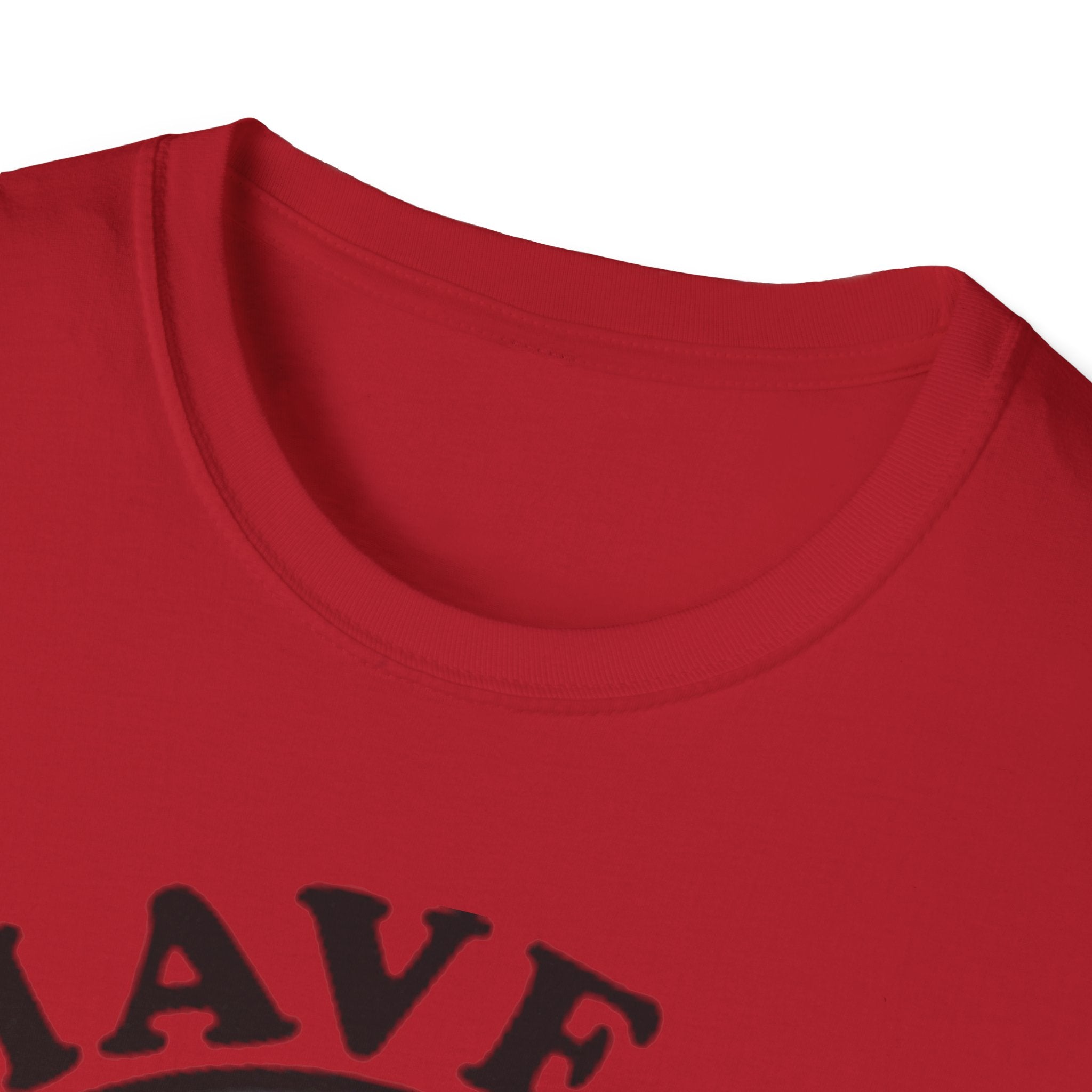 Have A Gay Day Rainbow Smile Unisex Softstyle T-Shirt