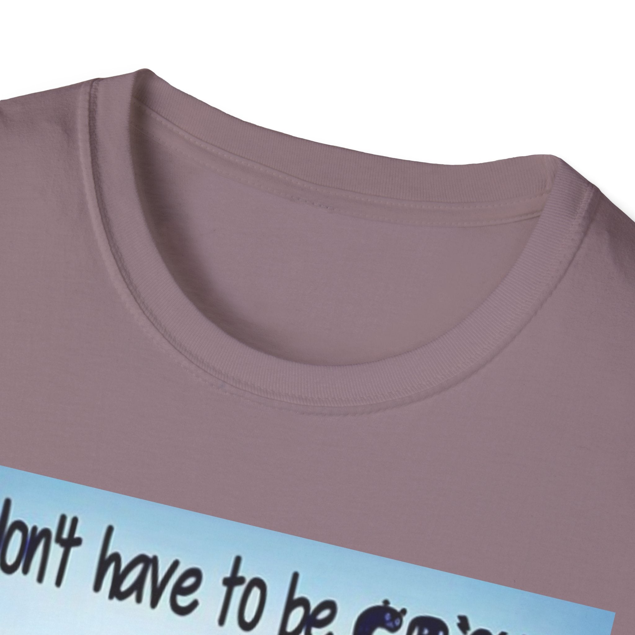 You Don't Have to be CRAZY to be my Friend, I'll Train You! Unisex Softstyle T-Shirt