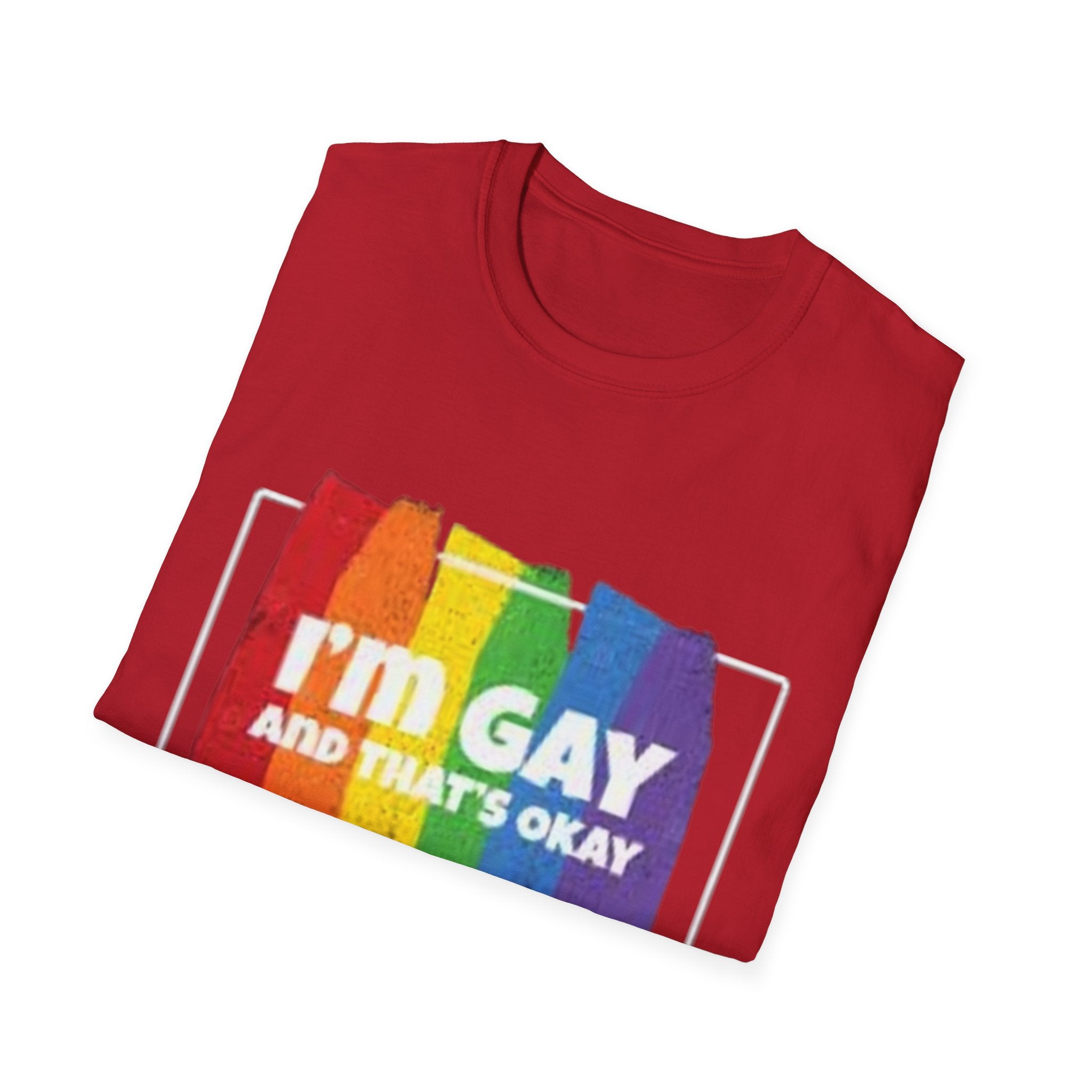 I'm GAY And That's Okay Unisex Softstyle T-Shirt